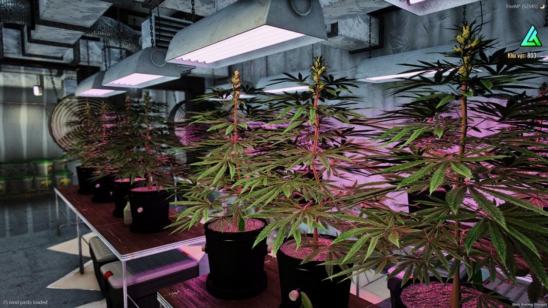 Secret Weed Farm | MLO / MAP | Fivem GTAV | Optimized | Drag and Drop Files | Best Quality |